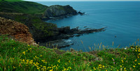 Hartland. Devon