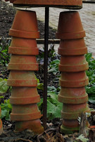 RHS Rosemoor